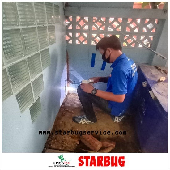 เจาะพื้นอัดน้ำยา กำจัดปลวกกรุงเทพ